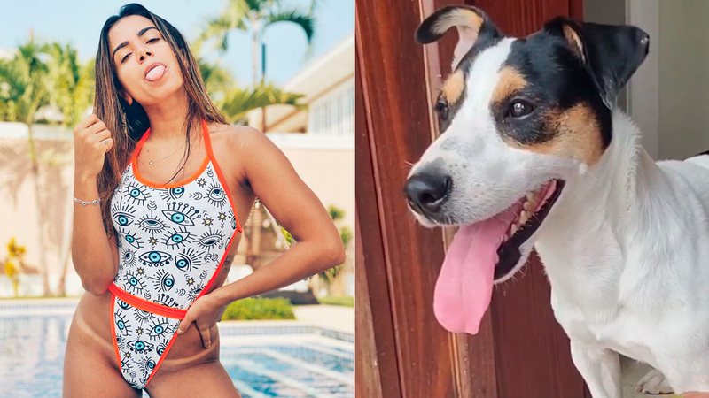 Anitta encontrou cachorro na porta de sua mansão - Foto: Reprodução/ Instagram