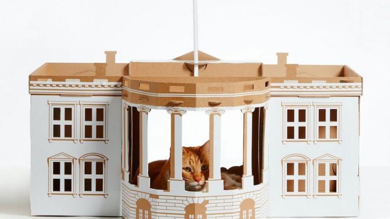 Casa de papelão da Poopy Cat inspirada em monumentos - Foto: Divulgação