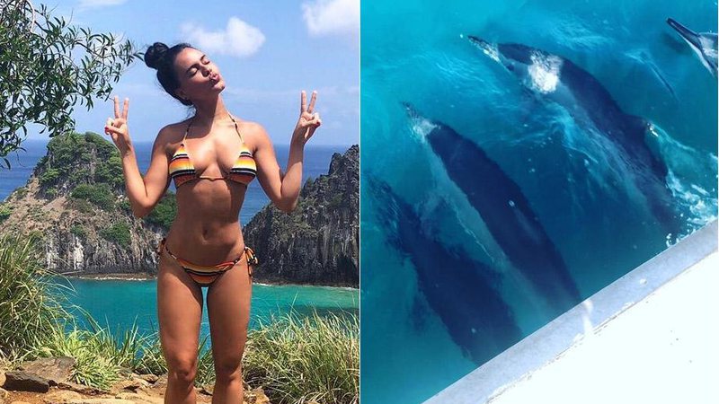 Letícia Lima mostrou momento em que foi cercada por um bando de golfinhos em Fernando de Noronha - Foto: Reprodução/ Instagram