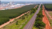 Imagem CLD, de Jorge Moura, conquista concessão da Rota da Celulose e amplia protagonismo na infraestrutura logística