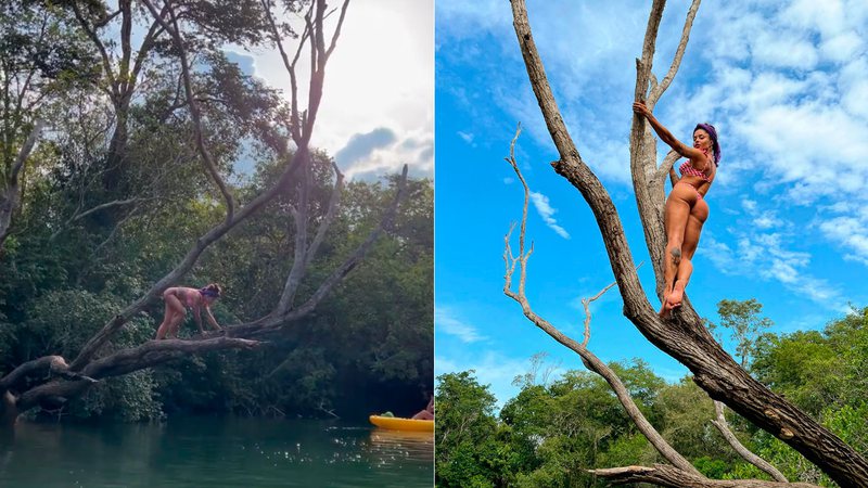 Aline Campos escalou árvore e cachoeira em Bonito - Foto: Reprodução/ Instagram@soualinecampos