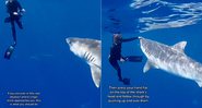 Andriana Fragile ficou frente a frente com um enorme tubarão-tigre - Foto: Reprodução/ Instagram@andriana_marine