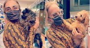 Angélica se derrete por cachorros ao visitar a pet shop em Nova York - Foto: Reprodução / Instagram @gringa_the_dog