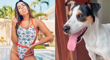 Anitta encontrou cachorro na porta de sua mansão - Foto: Reprodução/ Instagram