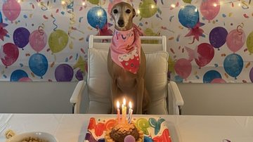 Anitta mostrou festa de aniversário de Plínio, seu cãozinho