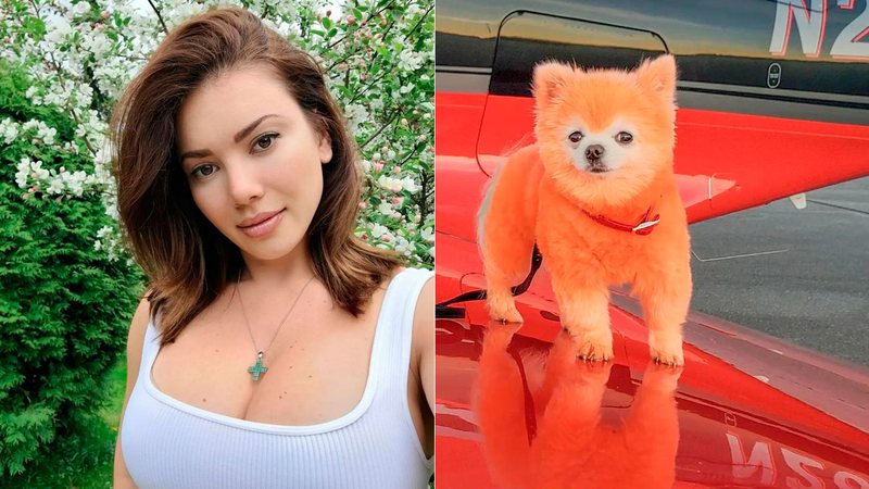 Anna Stupak recebeu críticas por pintar seu cãozinho de laranja - Foto: Reprodução/ Instagram@anna3.0.5