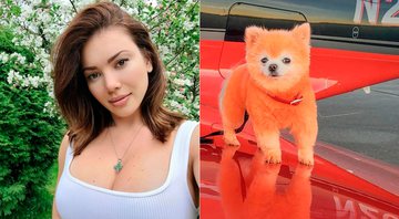 Anna Stupak recebeu críticas por pintar seu cãozinho de laranja - Foto: Reprodução/ Instagram@anna3.0.5