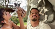 Empreendedor costuma visitar gata que adotou com a ex-namorada - Reprodução / Instagram
