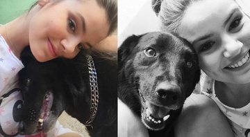 Camila ainda falou sobre o reencontro do cãozinho com o pai, que morreu em outubro de 2019 - Reprodução/Instagram