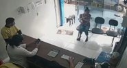 Cãozinho de rua entra sozinho em veterinária - Reprodução/Daily Star