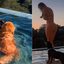 Carol Nakamura inaugurou piscina nadando com seus cachorros - Foto: Reprodução/ Instagram@carol_nakamura