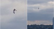 Objeto é visto voando em Londres, mas internautas o comparação a "dementador" - Foto: Reprodução / Reddit