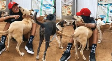 Dhiovanna Barbosa visita abrigo de animais em Pernambuco - Foto: Reprodução / Instagram @dhiovannab