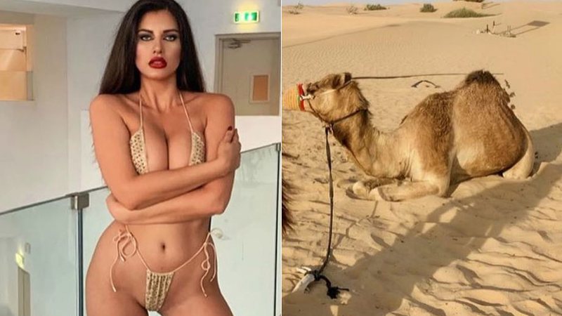 Homem ofereceu 200 camelos como dote para se casar temporariamente com Dora Rodriguez - Foto: Reprodução/ Instagram