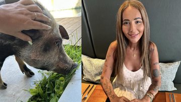 Imagem "Lugar de porco não é no shopping"