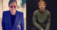 Músico falou sobre ter pensado em colocar o presente como enfeite de jardim - Reprodução/Instagram/@eltonjohn/@teddysphotos