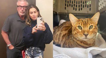 Gato da família foi encontrado - Foto: Reprodução / Instagram @hilariabaldwin