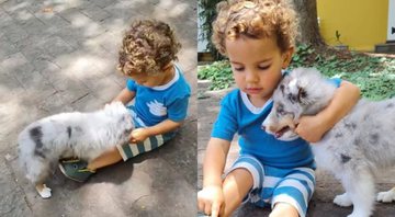 Biah Rodrigues compartilha clique de seu filho com novo cachorro da família - Foto: Reprodução / Instagram @biahrodriguesz