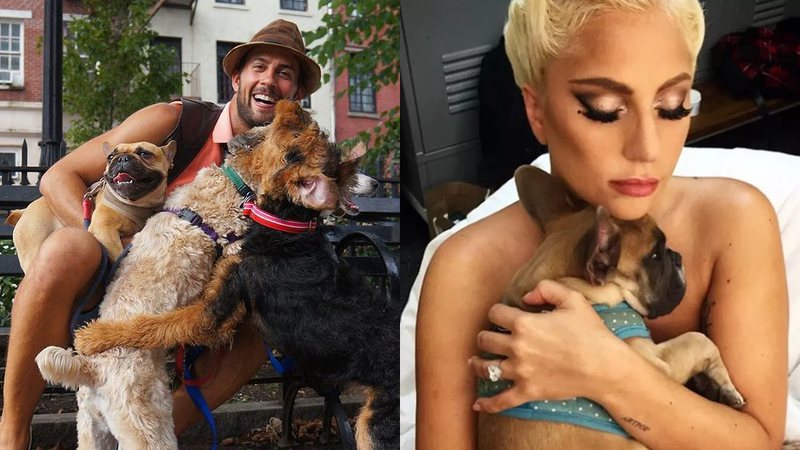 Ryan Fischer é amigo de Gaga e passeador de cães - Reprodução/Instagram@valleyofthedogs, @ladygaga