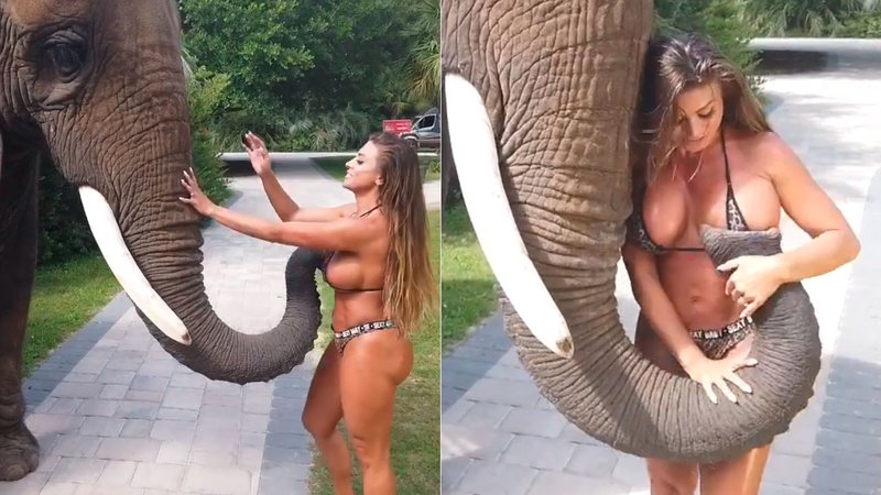 Francia James contou que ficou famosa por causa de vídeo com elefante - Foto: Reprodução/ Instagram@francety