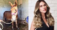 Giovanna Ewbank e o burro que foi adotado - Reprodução/Instagram@gioewbank
