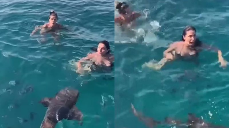Ingrid Guimarães e Giovanna Antonelli nadam ao lado de tubarões - Foto: Reprodução / Instagram