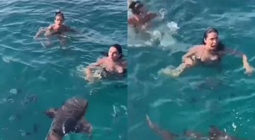 Ingrid Guimarães e Giovanna Antonelli nadam ao lado de tubarões - Foto: Reprodução / Instagram