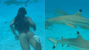 Isabella Arantes nadou com tubarões no mar da Polinésia Francesa