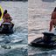 Ivana Knoll mostrou passeio de jet ski em Miami e recebeu elogios dos fãs - Foto: Reprodução/ Instagram@knolldoll