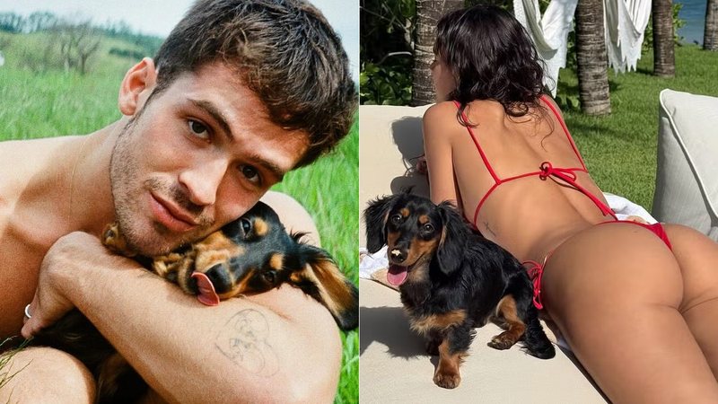 João Guilherme falou sobre a divisão dos cachorros que adotou com Bruna Marquezine