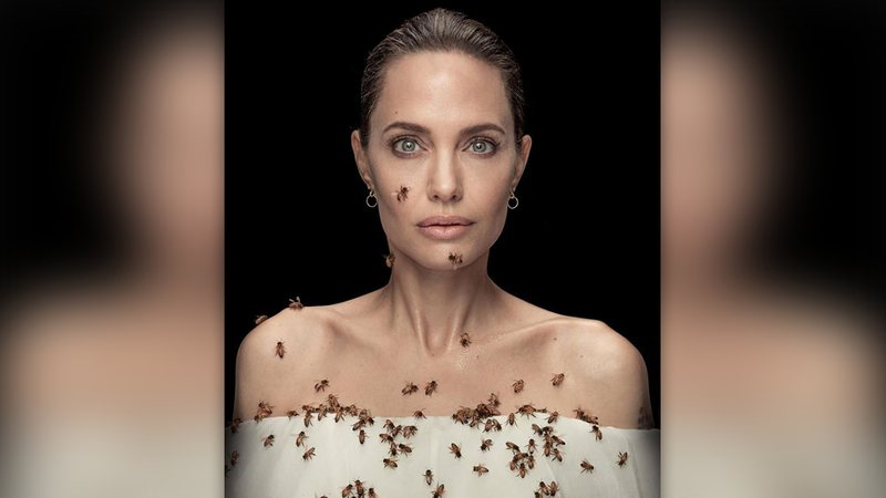 Angelina Jolie fez ensaio para a campanha 'Mulheres para Abelhas' - Reprodução/Instagram@natgeo