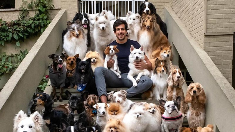 Julinho Casares posa com 40 cachorros e explica como conseguiu a foto - Reprodução/Instagram