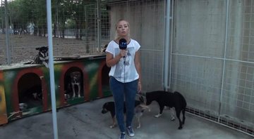 Imagem VÍDEO: Cachorro faz xixi três vezes em repórter durante reportagem