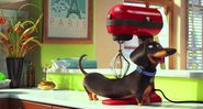 Cena da animação Pets – A Vida Secreta dos Bichos – Foto: Reprodução
