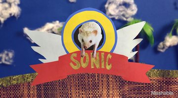 Imagem Porco espinho de verdade percorre os cenários de Sonic em vídeo; veja