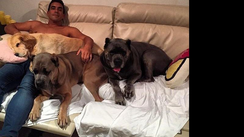 André Marques com seus cachorros ( Reprodução Instagram)