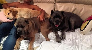 André Marques com seus cachorros ( Reprodução Instagram)