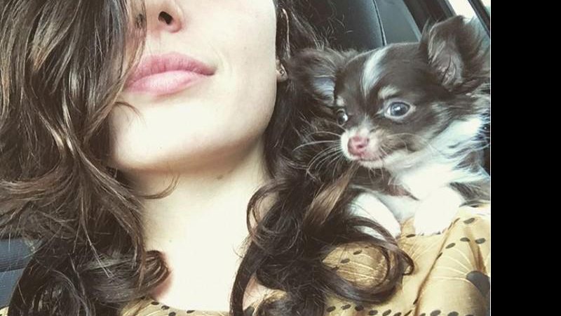 Isis Valverde com seu novo cachorro - Foto: Reprodução/Instagram