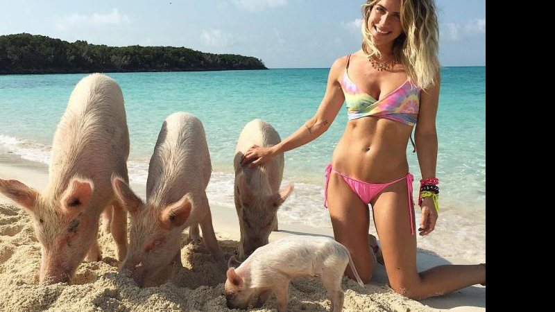 Giovanna Ewbank com família de porcos - Foto: Reprodução/Instagram