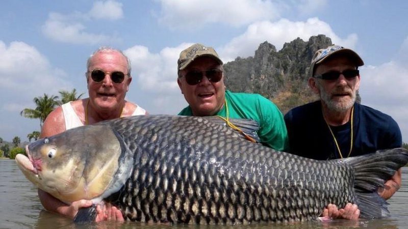 Paul Fairbrass e Cliff Dale pescaram uma carpa de mais de 80 quilos na Tailândia - Foto: Reprodução/ Facebook/ Cliff Dale
