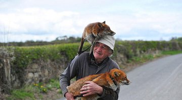 Patsy Gibbons, de County Kilkenny, na Irlanda, ganhou a lealdade de duas raposas - Foto: Facebook/ Clodagh Kilcoyne