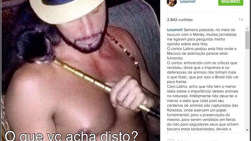 Luisa Mell critica Latino por foto de seu macaco - Foto: Reprodução/Instagram
