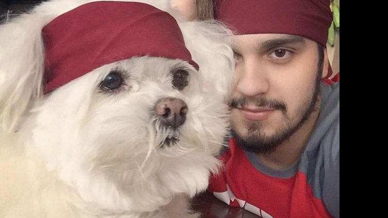 Luan Santana com seu cachorro Puff - Foto: Reprodução/Instagram