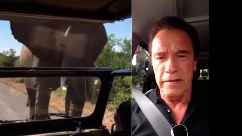 Arnold Schwarzenegger mostra encontro com elefante durante safari - Foto: Reprodução/ YouTube