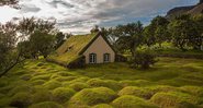 Telhados verdes da Escandinávia - Foto: Johanne Marie Rogn