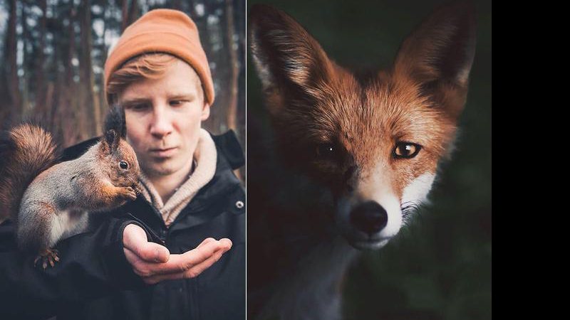 O fotógrafo Konsta Punkka faz cliques intimistas de animais selvagens - Foto: Konsta Punkka