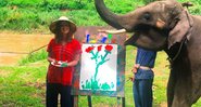 Marina Ruy Barbosa visita santuário de elefantes na Tailândia - Foto: Reprodução/ Instagram