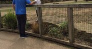 Pai coloca o filho no espaço do rinoceronte em zoológico de Dublin - Foto: Twitter/ Adrianna Straszewska