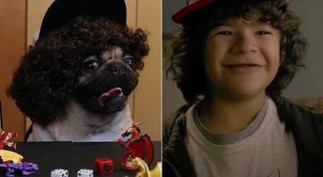 Doug, o Pug, caracterizado como os personagens de Stranger Things - Foto: Reprodução/ Instagram