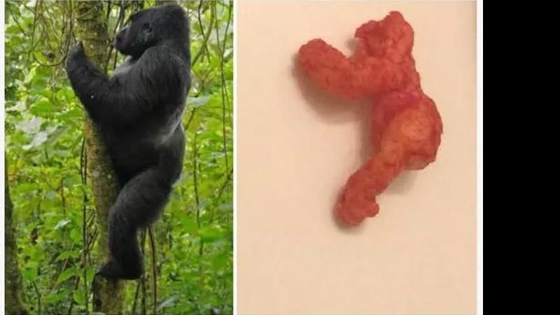 Salgadinho com formato de gorila foi arrematado por 99.900 mil dólares - Foto: Reprodução